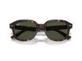 Ray-Ban Erik Solbriller RB 0RB4398 902/31