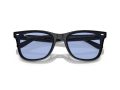 Ray-Ban Solbriller RB 0RB4420 601/80