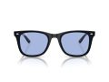 Ray-Ban Solbriller RB 0RB4420 601/80
