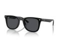 Ray-Ban Solbriller RB 0RB4420 601/87