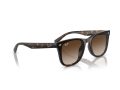 Ray-Ban Solbriller RB 0RB4420 710/13