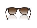 Ray-Ban Solbriller RB 0RB4420 710/13