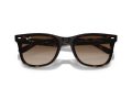 Ray-Ban Solbriller RB 0RB4420 710/13