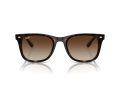 Ray-Ban Solbriller RB 0RB4420 710/13