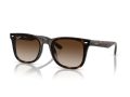Ray-Ban Solbriller RB 0RB4420 710/13