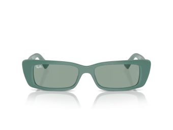 Ray-Ban Teru Solbriller RB 4425 676282