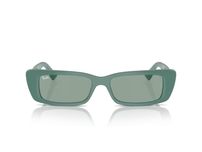 Ray-Ban Teru Solbriller RB 4425 676282