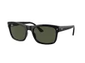 Ray-Ban Solbriller RB 4428 601/31