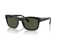 Ray-Ban Solbriller RB 4428 601/31