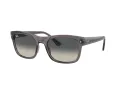Ray-Ban Solbriller RB 0RB4428 667571