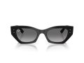 Ray-Ban Zena Solbriller RB 4430 667711