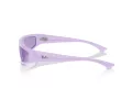 Ray-Ban Izaz Solbriller RB 4432 67581A