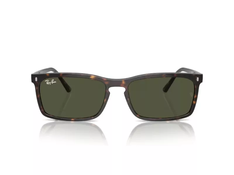 Ray-Ban Solbriller RB 4435 902/31