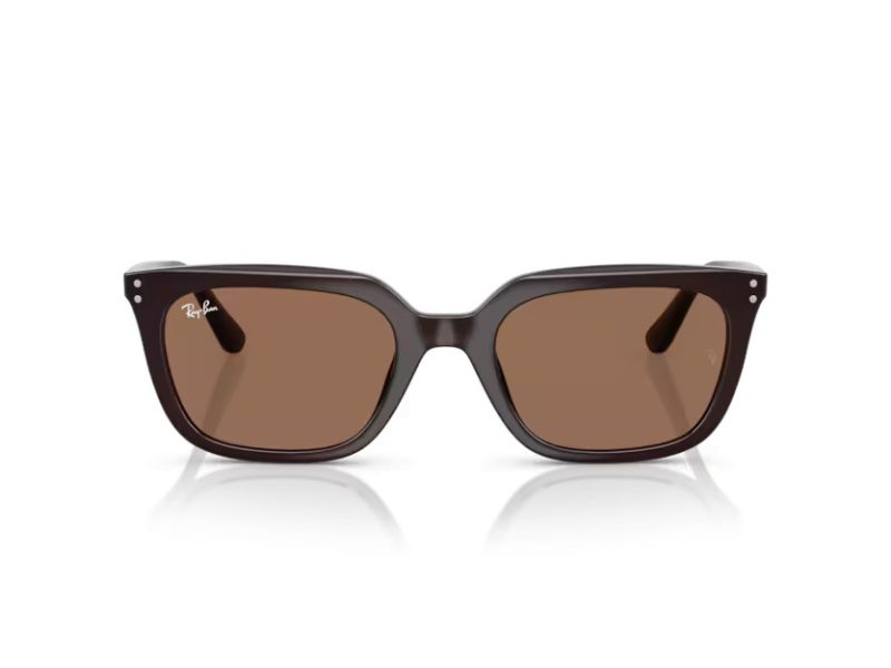 Ray-Ban Solbriller RB 4439D 623173