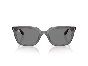 Ray-Ban Solbriller RB 4439D 667587
