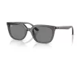 Ray-Ban Solbriller RB 4439D 667587