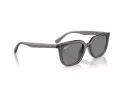 Ray-Ban Solbriller RB 4439D 667587
