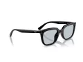 Ray-Ban Solbriller RB 4439D 901/72