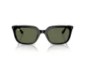 Ray-Ban Solbriller RB 4439D 901/9A