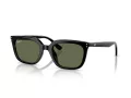 Ray-Ban Solbriller RB 4439D 901/9A