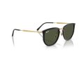 Ray-Ban Solbriller RB 4451 630631