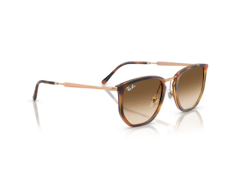 Ray-Ban Solbriller RB 4451 680451