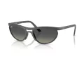 Ray-Ban Solbriller RB 4453 601711