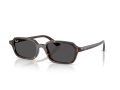 Ray-Ban Zuri Solbriller RB 4455 135987