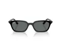 Ray-Ban Zaya Solbriller RB 4456 667781