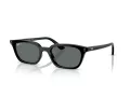 Ray-Ban Zaya Solbriller RB 4456 667781