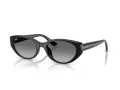 Ray-Ban Solbriller RB 4457D 667711