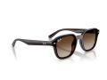Ray-Ban Solbriller RB 4458D 714/13