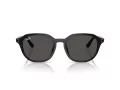 Ray-Ban Solbriller RB 4459D 901/87