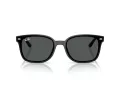 Ray-Ban Solbriller RB 4461D 601/87