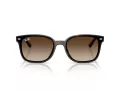 Ray-Ban Solbriller RB 4461D 710/13