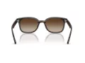 Ray-Ban Solbriller RB 4461D 710/13