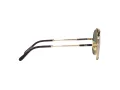 Ray-Ban Aviator Titanium Solbriller RB 8225 3138/52