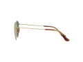 Ray-Ban Round Solbriller RB 8247 9217T0