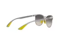 Ray-Ban Solbriller RB 8327M F080/11