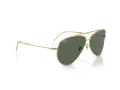Ray-Ban Aviator Reverse Solbriller RB 0RBR0101S 001/VR