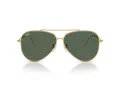 Ray-Ban Aviator Reverse Solbriller RB 0RBR0101S 001/VR