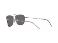 Ray-Ban Caravan Reverse Solbriller RB R0102S 003/GS