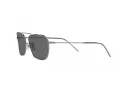 Ray-Ban Caravan Reverse Solbriller RB R0102S 004/GR