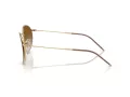 Ray-Ban Round Reverse Solbriller RB R0103S 001/CB