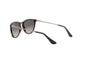 Ray-Ban Junior Erika Solbriller RJ 9060S 7049/11