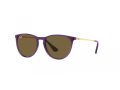 Ray-Ban Junior Erika Solbriller RJ 9060S 713173