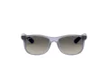 Ray-Ban Solbriller RJ 9062S 7050/11