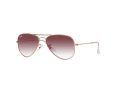 Ray-Ban Junior Aviator Solbriller RJ 9506S 291/8H