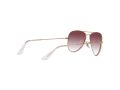 Ray-Ban Junior Aviator Solbriller RJ 9506S 291/8H