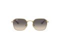 Ray-Ban Solbriller RJ 9594S 292/11